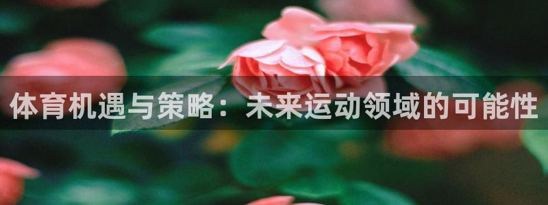 沐鸣2平台代理注册