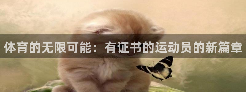 沐鸣2零能源集团