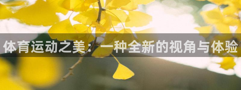 沐鸣2体育