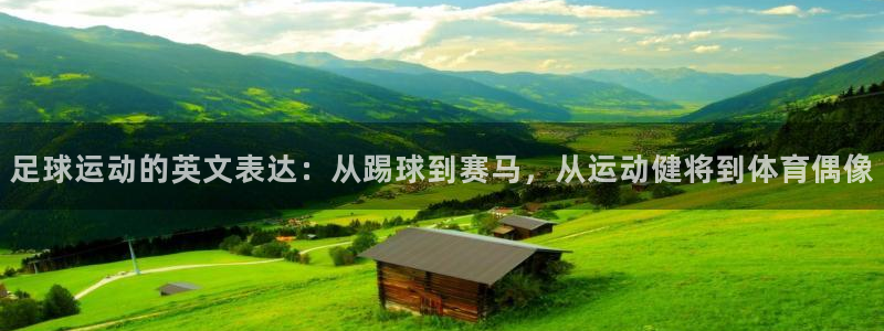 沐鸣2官网入口