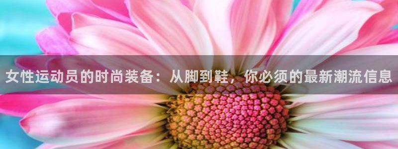 沐鸣2体育凯捷平台代理