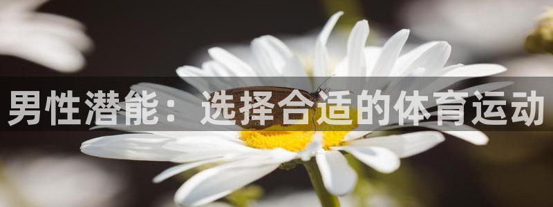 沐鸣2体育平台登录入口