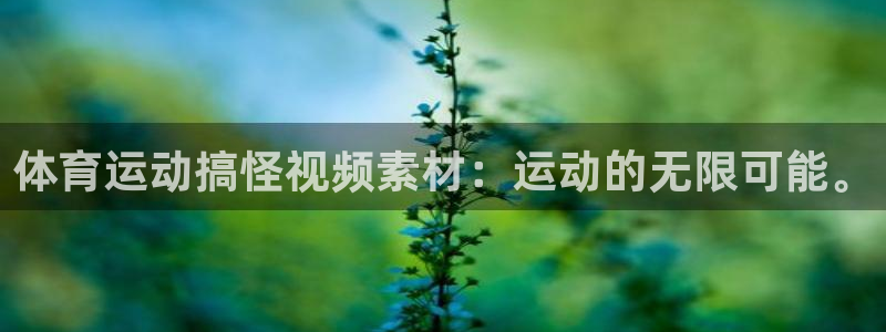 沐鸣2体育用品