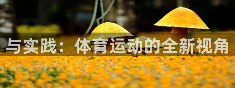沐鸣23官网