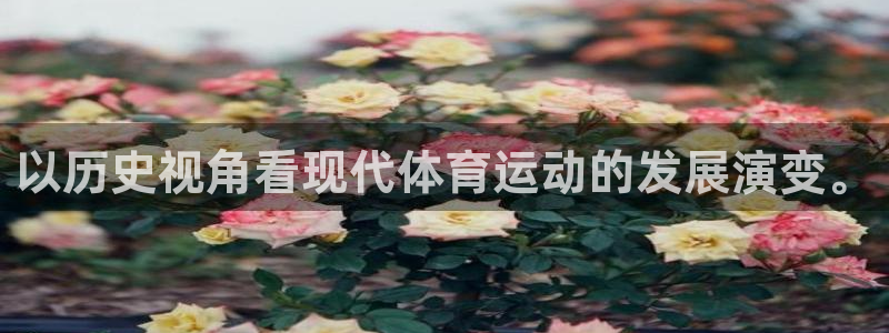 沐鸣2体育官网