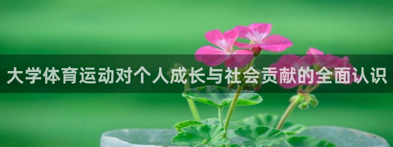 沐鸣注册登录入口