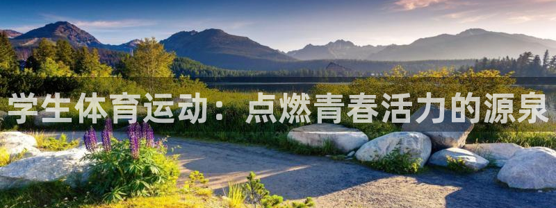沐鸣2体育平台总代理