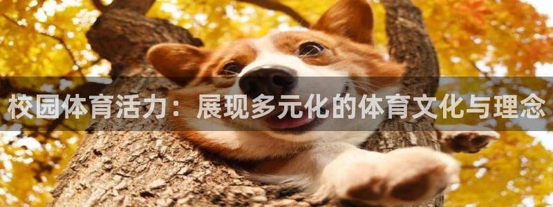 沐鸣2登陆