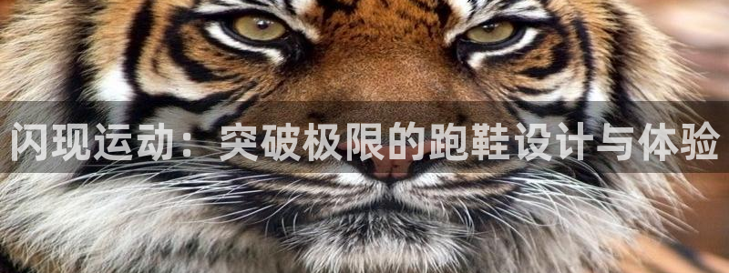 上海沐鸣2汽车电子有限公司