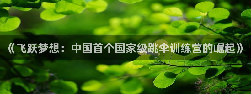 沐鸣2体育官网登录