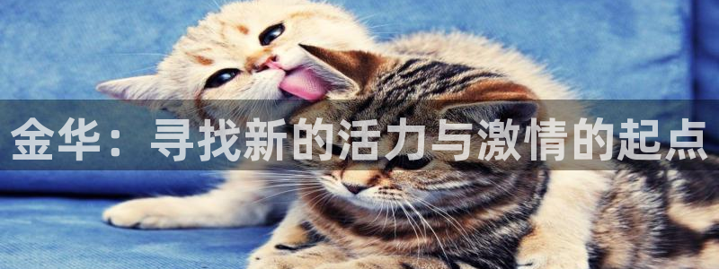 沐鸣2代理