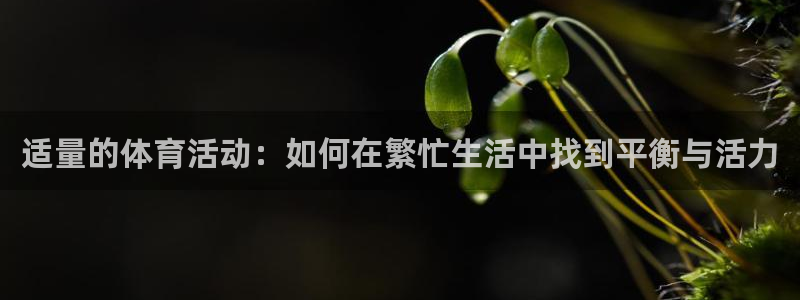 沐鸣2登录注册