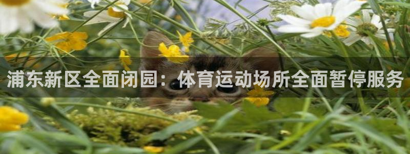 沐鸣2提款慢