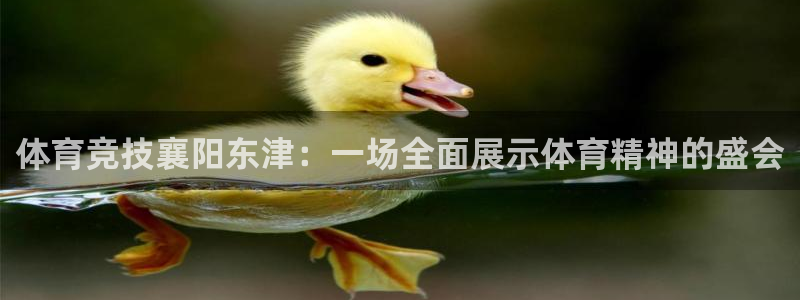 沐鸣2娱乐主管